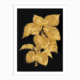 Vintage White Mulberry Plant Botanical in Gold on Black n.0491 Art Print
