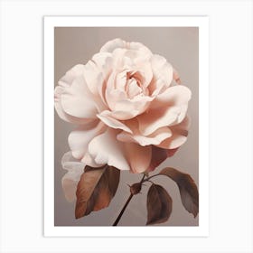 Floral Illustration Rose 1 Art Print