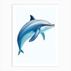 Common Dolphin Digital Illustration Art Print