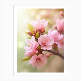 Cherry Blossoms 40 Art Print