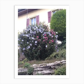 Flowers In Front Of House Art Print