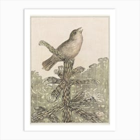 Singing Bird On A Pine Tree (1878–1906), Theo Van Hoytema Art Print