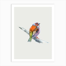 Watercolor Bird Art Print