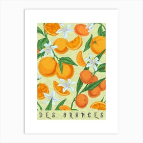 Oranges kitchen print Art Print