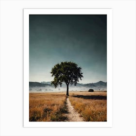 Lone Tree 31 Art Print