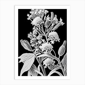 Whorled Milkweed Wildflower Linocut Art Print