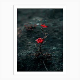 Dark Flower 11 Art Print