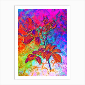 Evrat's Rose with Crimson Buds Botanical in Acid Neon Pink Green and Blue n.0220 Art Print