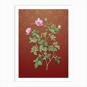 Vintage Pink Flowering Rosebush Botanical on Falu Red Pattern n.0478 Art Print