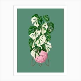 Monstera Variegated Art Print