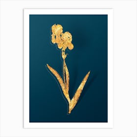 Vintage Tall Bearded Iris Botanical in Gold on Teal Blue n.0118 Art Print