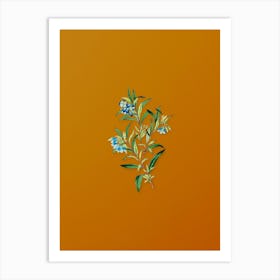 Vintage Blue Narrow Leaved Sollya Botanical on Sunset Orange n.0876 Art Print