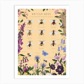 British Bees And Pollinator Friendly Plants Art Print