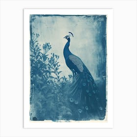 Peacock In The Meadow Cyanotype Inspired 1 Art Print