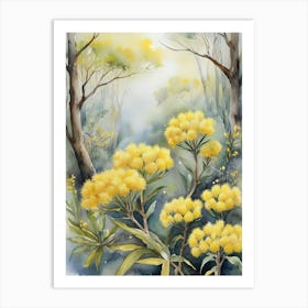 Australia Golden Wattle Flowers In The Forest Art Print