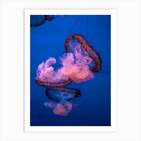 Dancing Jellyfish Art Print