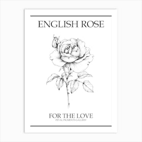 English Rose Black And White Line Drawing 1 Poster Art Print