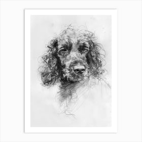 Irish Water Spaniel Dog Charcoal Line 3 Art Print