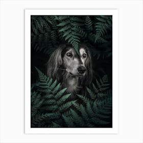 Dog Dachshund In Ferns Art Print