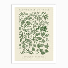 British Native Trees Art Print