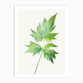Nettle Leaf Minimalist Watercolour 1 Art Print