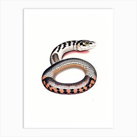 Speckled Kingsnake 1 Vintage Art Print