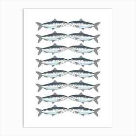 Sockeye Salmon. USA . Art Print