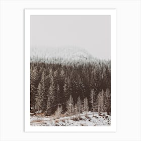 Winter Forest Art Print