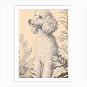 Poodle In The Garden Affiche