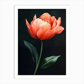 Tulip 2 Art Print