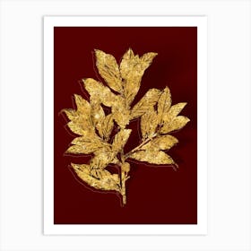 Vintage Bay Laurel Botanical in Gold on Red Art Print