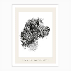 Spanish Water Dog Line Sketch 1 Poster Art Print