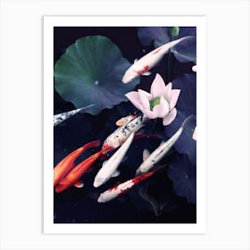 Koi Pond Art Print