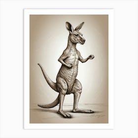 Kangaroo Art Print