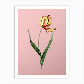 Vintage Didier's Tulip Botanical on Soft Pink n.0132 Art Print