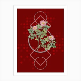 Vintage Rose Corymb Botanical with Geometric Line Motif and Dot Pattern n.0019 Art Print