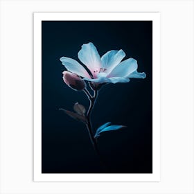 Flower On A Dark Background Art Print