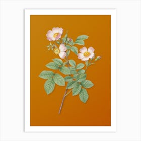 Vintage Short Styled Field Rose Botanical on Sunset Orange n.0661 1 Art Print