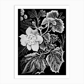 Blackberry Blossom Wildflower Linocut 2 Art Print