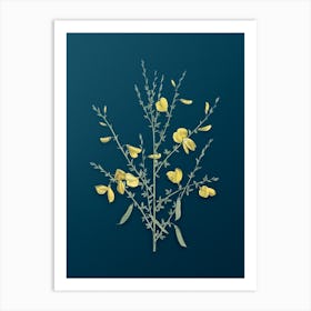 Vintage Yellow Broom Flowers Botanical Art on Teal Blue n.0885 Art Print