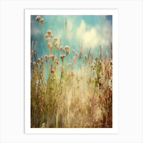 Wildflowers In A Field Art Print