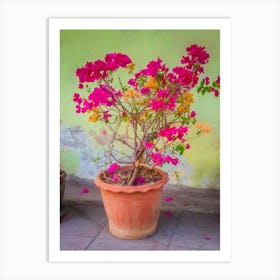 Pink Flowers In Clay Pot Art Print