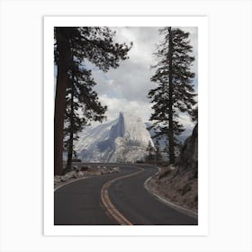 Yosemite Forest Road Art Print