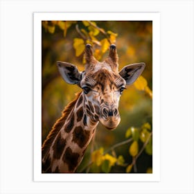 Giraffe 3 Art Print