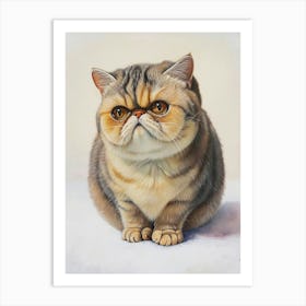 Exotic Shortrhair Cat Painting 3 Art Print