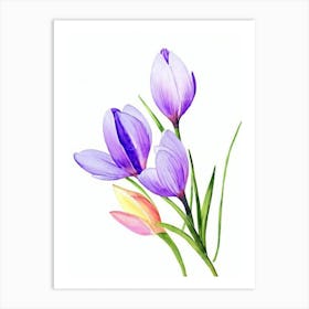 Crocus Watercolour Flower Art Print