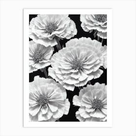Carnations B&W Pencil 9 Flower Art Print