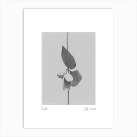 Lily Botanical Collage 2 Art Print