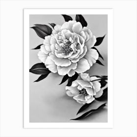 Peony B&W Pencil 1 Flower Art Print