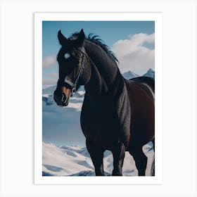 Black Horse in Snow Art Print